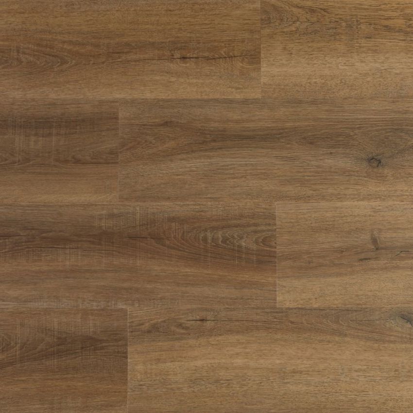 Rovere Vecchio, codice BLADC-3309
