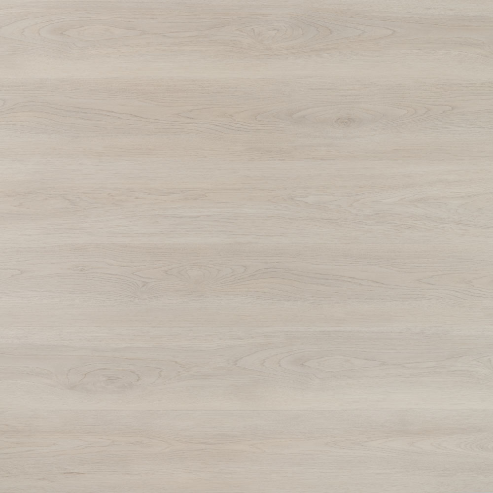 Rovere Valencia, codice BLSA-1605