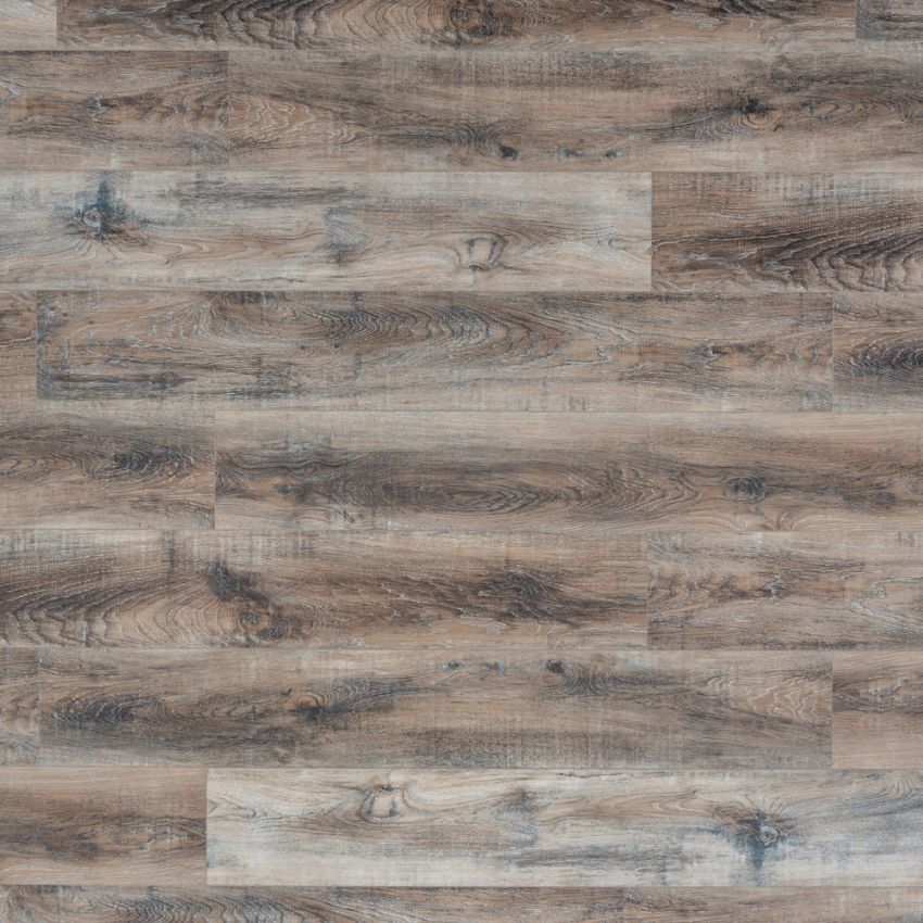 Rovere Sherwood, codice BLADH-3201-PL