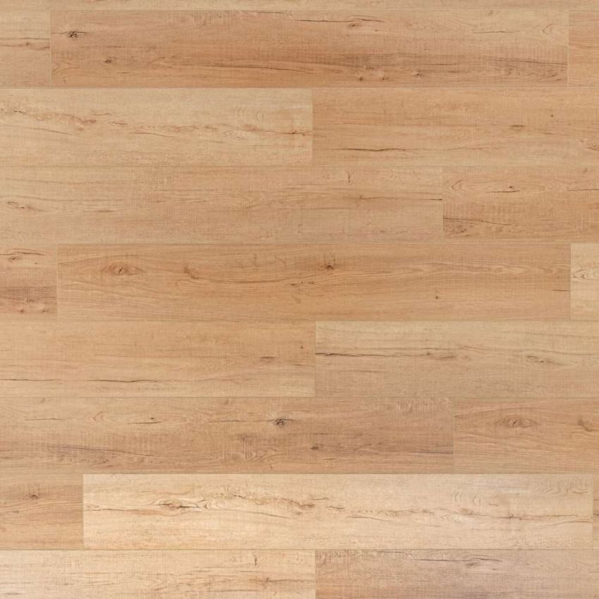 Rovere del Sole, codice BLLI-2712