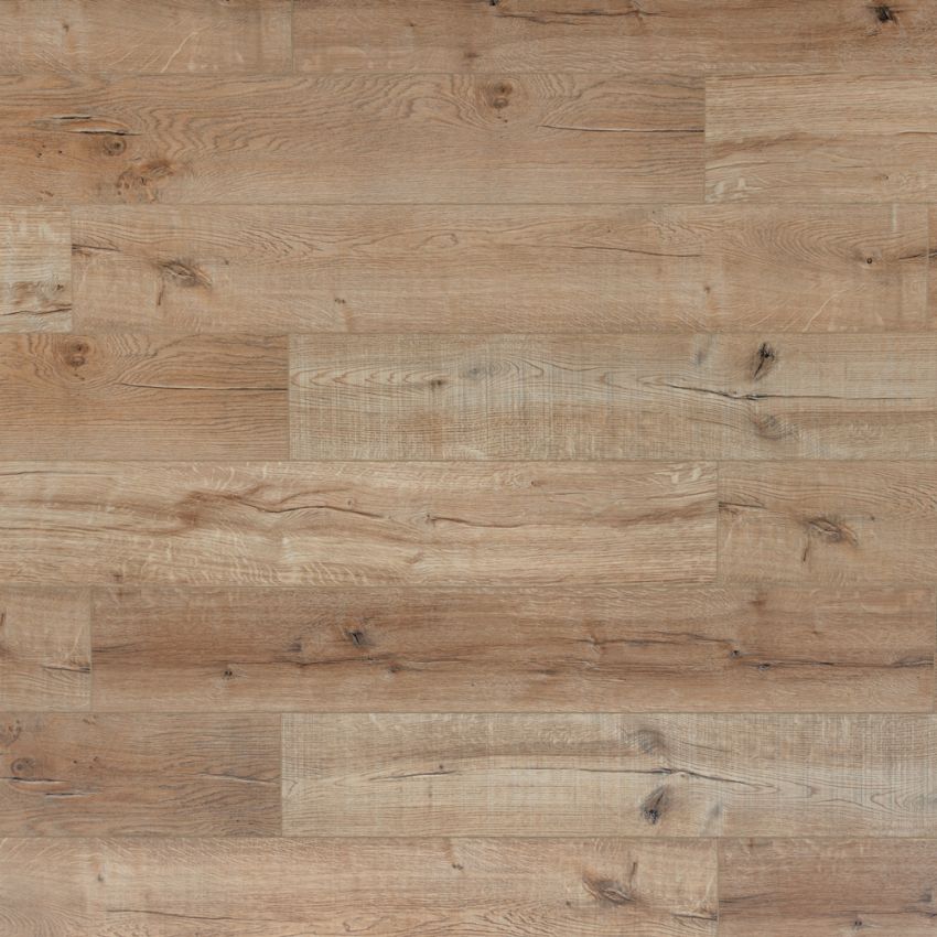 Rovere Europeo, codice BLADH-3204-PL
