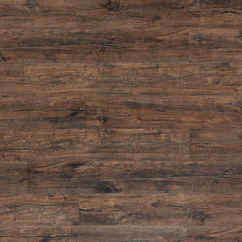 Rovere Scuro, codice BLLI-2704