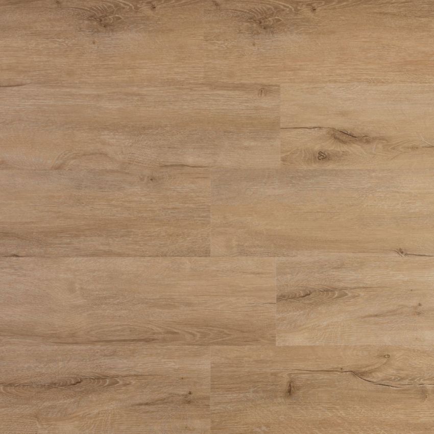 Rovere Chiaro, codice BLADC-3308